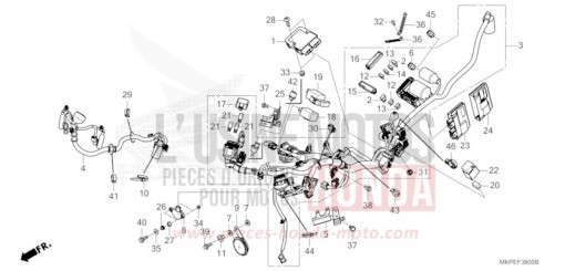FAISCEAU DES FILS CB500FAN de 2022
